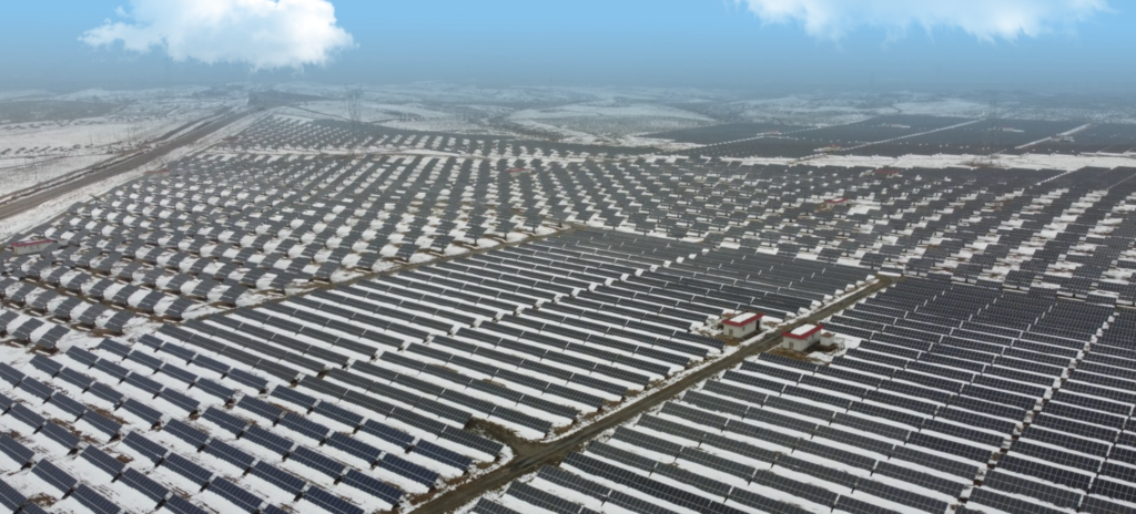50 MW
 China
 Jolywood FFC Backsheet （Built in 2008）